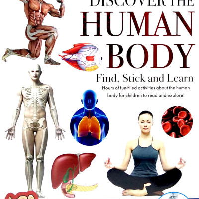 Wonders Of Learning - Sticker Book - Human Body