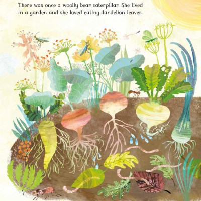 The Woolly Bear Caterpillar