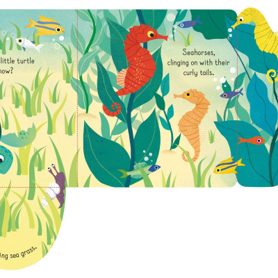 Little Lift And Look Under The Sea