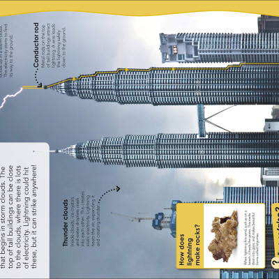 Why Does The Earth Need The Moon?: With 200 Amazing Questions About Our Planet