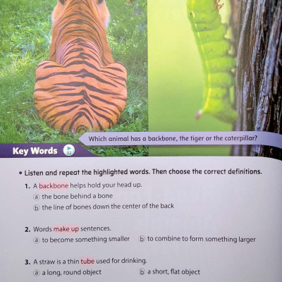 Smart Reading 6-3 (220 Words)