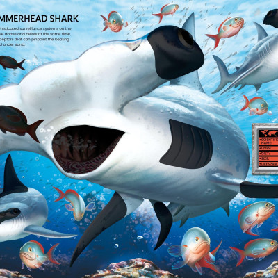 Build Your Own Sea Creatures Sticker Book