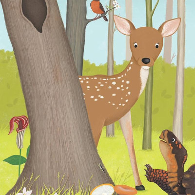 Tales From The Forest