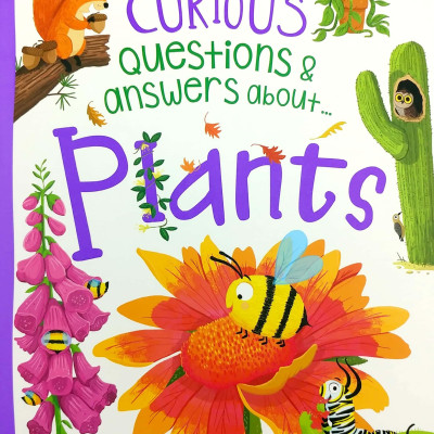 A Curious Library Of Questions And Answers