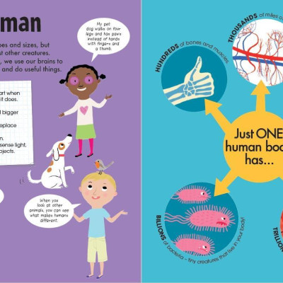 Book & Jigsaw - Fun Facts - The Human Body