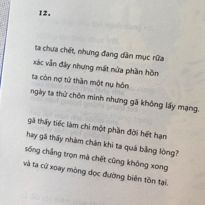 Đám Trẻ Ở Đại Dương Đen