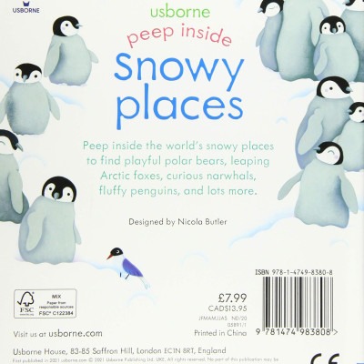 Peep Inside Snowy Places