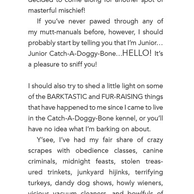 Dog Diaries 5: Ruffing It: A Middle School Story