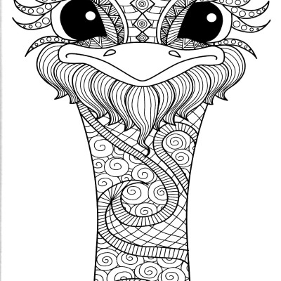 Enchanting Adult Colouring Series: Book 1