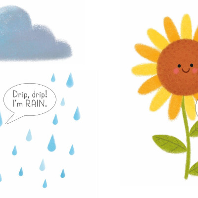 Usborne Very First Words Library: Garden