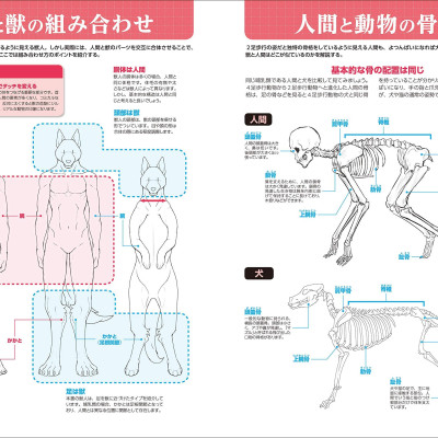 獣人の描き方 (超描けるシリーズ) SHISHIJIN NO EGAKI KATA RIARUKEMO KARA DEFORUMEKE