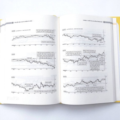 Thấu hiểu Hành vi giá Thị trường Tài chính (Understanding Price Action)