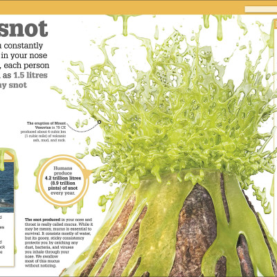 The Science Of Goo!: From Saliva And Slime To Frogspawn And Fungus