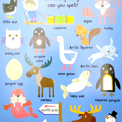 Look & Find: Animals