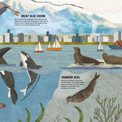 Wild City: Meet The Animals Who Share Our City Spaces