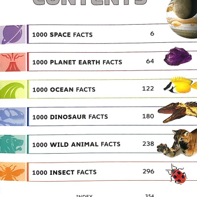 B384 6000 AMAZING FACTS