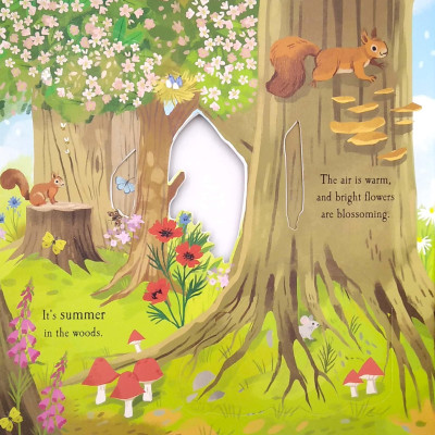 Nature Die-cut Book - Let