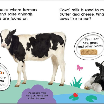 First Facts Farm (Turn-the-Wheel Books)