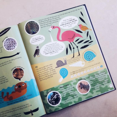 Sách nhã nam - Vũ trụ qua lăng kính số - The big countdown (Bìa cứng)