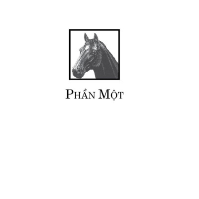 Văn Học Cổ Điển - Ngựa Ô Yêu Dấu (Tái Bản 2023)