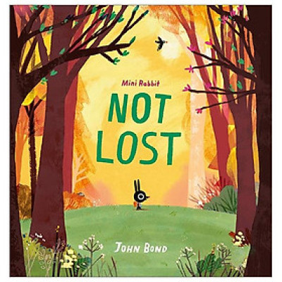 Mini Rabbit Not Lost (Mini Rabbit)
