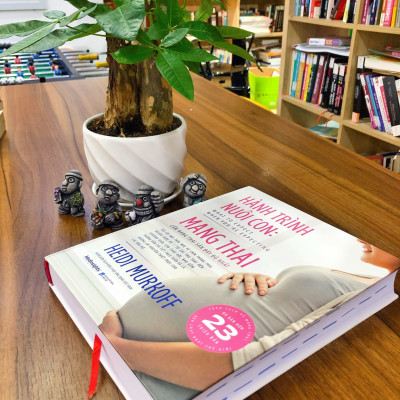 Trạm Đọc | Hành Trình Nuôi Con Mang Thai: Cẩm Nang Thai Sản Đầy Đủ Nhất