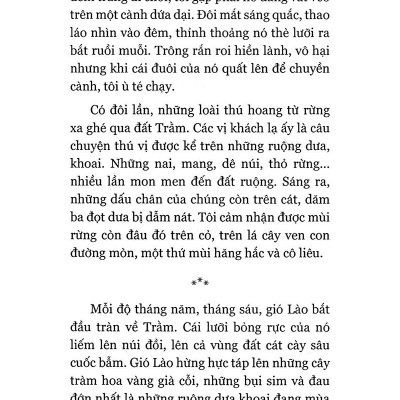 Đi Như Là Ở Lại (Tái Bản)