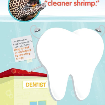 Weird But True! 4: Wild And Wacky Sticker Doodle Book