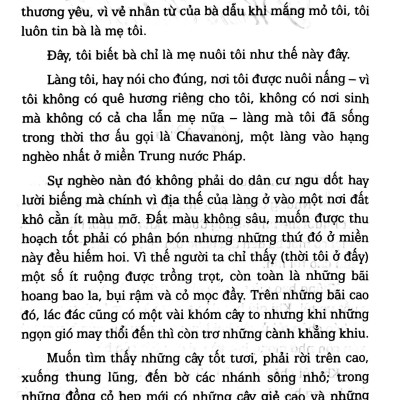 Sách - Không Gia Đình - Bìa Cứng (Tái Bản 2025)