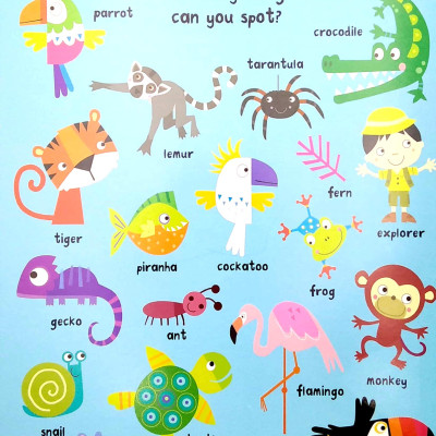 Look & Find: Animals