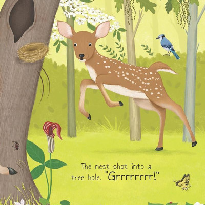 Tales From The Forest