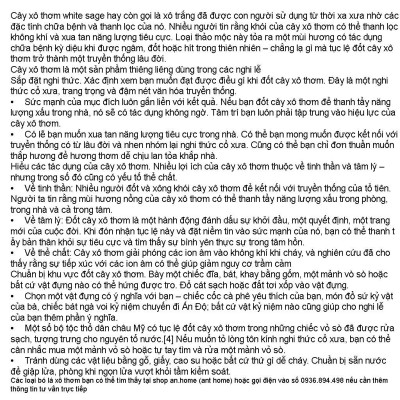 Sét 1 bó lá xô thơm trắng white sage hoa xanh 10cm và 1 thanh gỗ palo santo trắc xanh 5-6gr Combo06