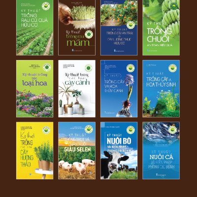 Nông Nghiệp Xanh, Sạch - Kỹ Thuật Trồng Rau Mầm