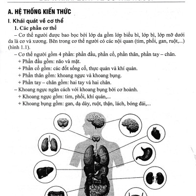 Bồi Dưỡng Học Sinh Giỏi Sinh Học 8 (Dùng Chung Cho Các Bộ SGK Hiện Hành) 