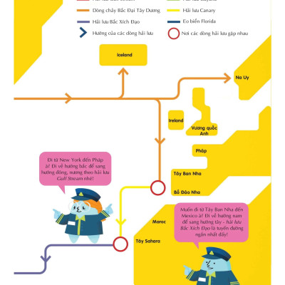 Sách 100 Bí Mật Kinh Ngạc - 100 Bí Ẩn Đáng Kinh Ngạc Về Các Đại Dương