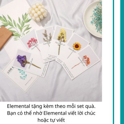 [Quà tặng cao cấp-Thương hiệu Mỹ] Bình giữ nhiệt cao cấp Elemental, set hộp quà tặng Mộng mơ, quà tặng dành cho cha mẹ,