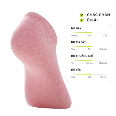 Combo 10 đôi vớ tất lười nữ ALLPUR chống tuột gót thoáng khí khử mùi siêu nhẹ
