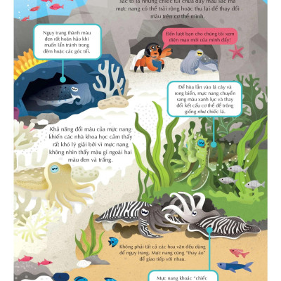 Sách 100 Bí Mật Kinh Ngạc - 100 Bí Ẩn Đáng Kinh Ngạc Về Các Đại Dương