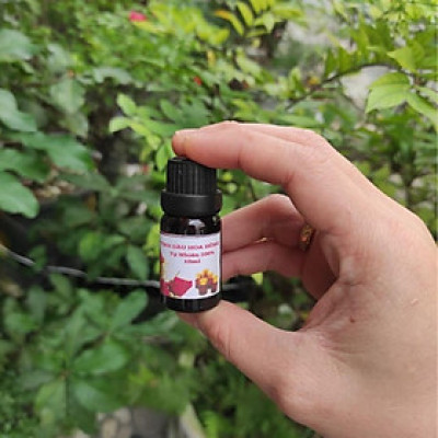 Chai Tinh Dầu Xông Phòng Hương Hoa Hồng 10ml