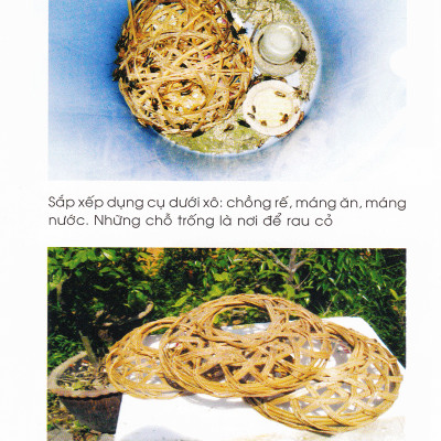 Phương Pháp Nuôi Dế - VL