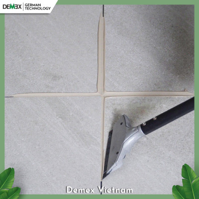 Cây Sủi Lớn Mạch Ron DEMEX