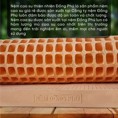 Nệm Cao Su Một Mặt Lỗ Đồng Phú DPCS1615 (160 x 200 x 15 cm)