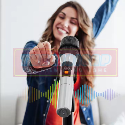 ROGTZ Bộ 2 Micro Cầm Tay Không Dây UHF Cho Trợ Giảng, Thông Báo, Karaoke, Phạm Vi 50m XXD H16L-2 - Hàng Nhập Khẩu