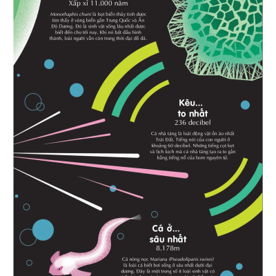 Sách 100 Bí Mật Kinh Ngạc - 100 Bí Ẩn Đáng Kinh Ngạc Về Các Đại Dương