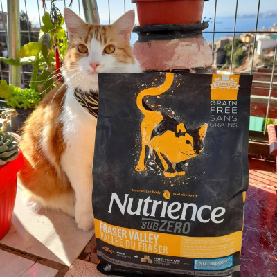 Thức Ăn Hạt Cho Mèo Nutrience Subzero Bao 500g & 2.27kg Vị Gà Tây Và 6 Loại Cá Biển Trái Cây Rau Củ Quả