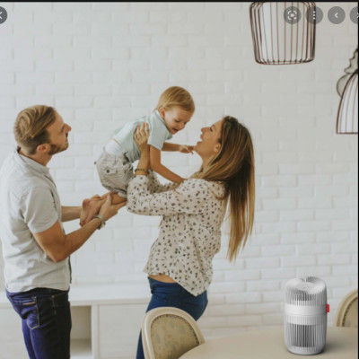 Máy lọc không khí Boneco P130 Hàng Chính hãng