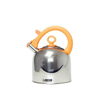 Ấm nước Inox Zebra 13494, dung tích 4.9 lít Hàng chính hãng