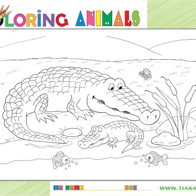 Xếp hình Tia Sáng Cá sấu  (30 Mảnh Ghép) - Tặng kèm tranh tô màu cho bé