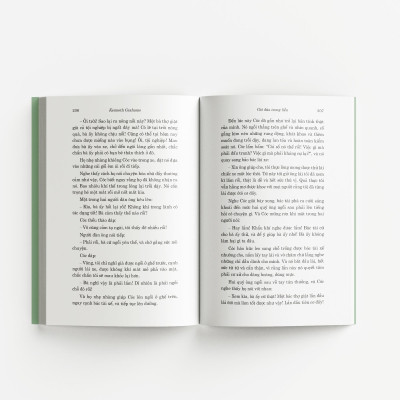 Sách - Gió đùa trong liễu - Đông A