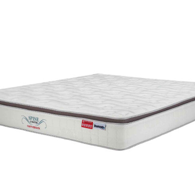 Nệm Lò Xo Dunlopillo Spine-O-Master